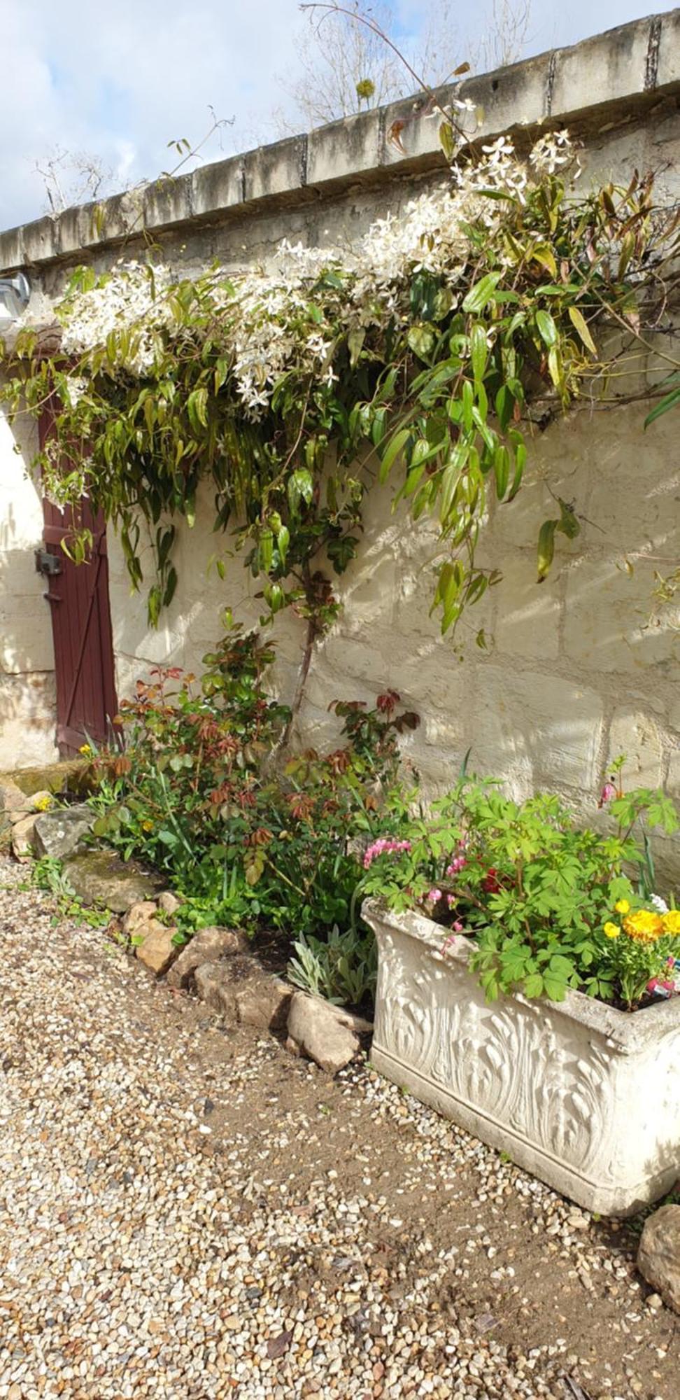 Le Petit Hureau Saumur Exterior photo